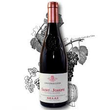 Découvrez l’Élégance du Vin Rouge de Saint-Joseph