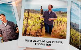 Découvrez l’Art des Vins du Languedoc: Une Odyssée Œnologique dans le Sud de la France