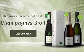 Découvrez l’Art du Vin Champagne: Élégance et Prestige en Bouteille