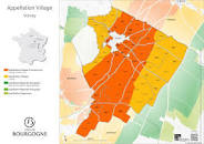 Découvrez l’Élégance du Volnay Rouge : Un Trésor de la Bourgogne
