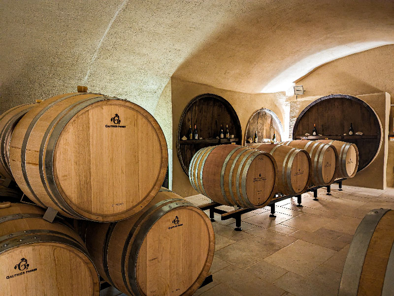 Exploration sensorielle en cave de dégustation vin