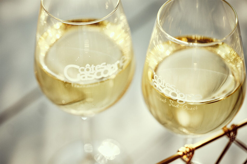 Exploration des Délices : Dégustation de Vin Blanc