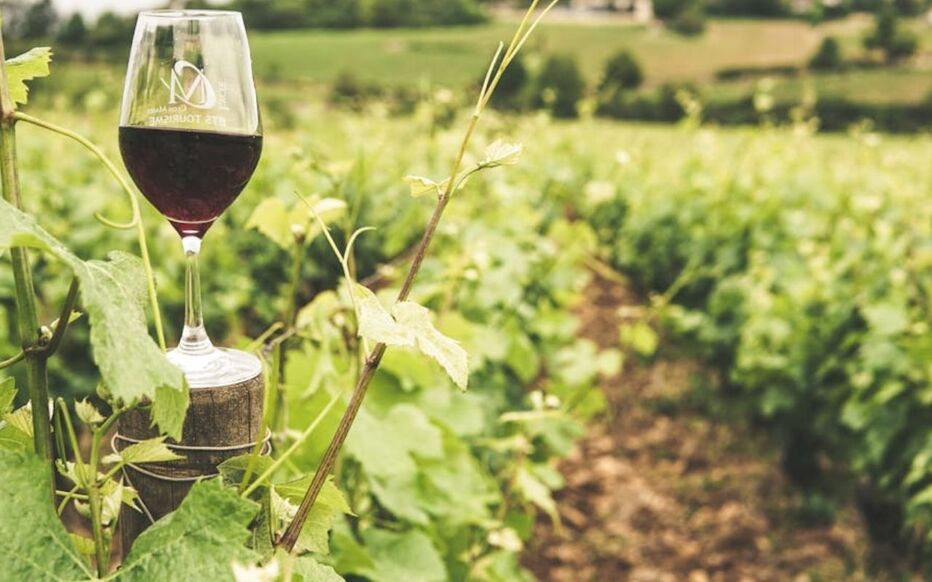 Découvrez des pépites de vin rouge à moins de 2 euros