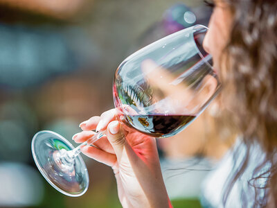 Exploration Vinicole lors d’un Week-end Dégustation