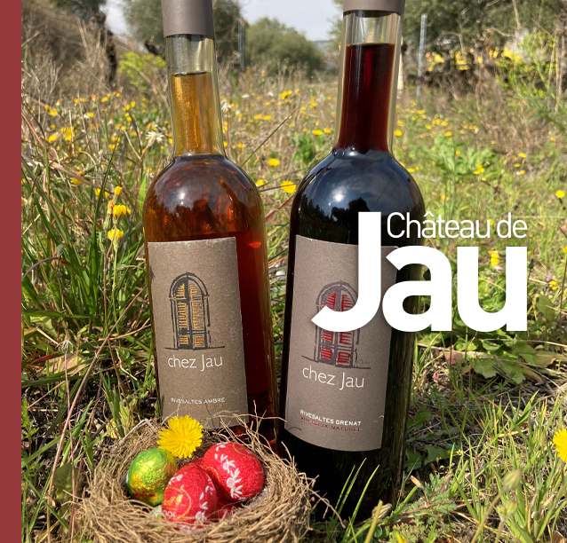 Harmonie Gourmande : Vin Rouge et Dessert au Chocolat, une Alliance Sublime