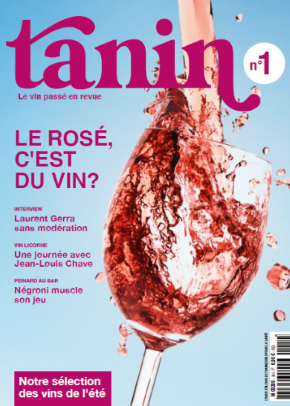 Décryptage des Tanins Rouges: Les Clés de l&rsquo;Astringence