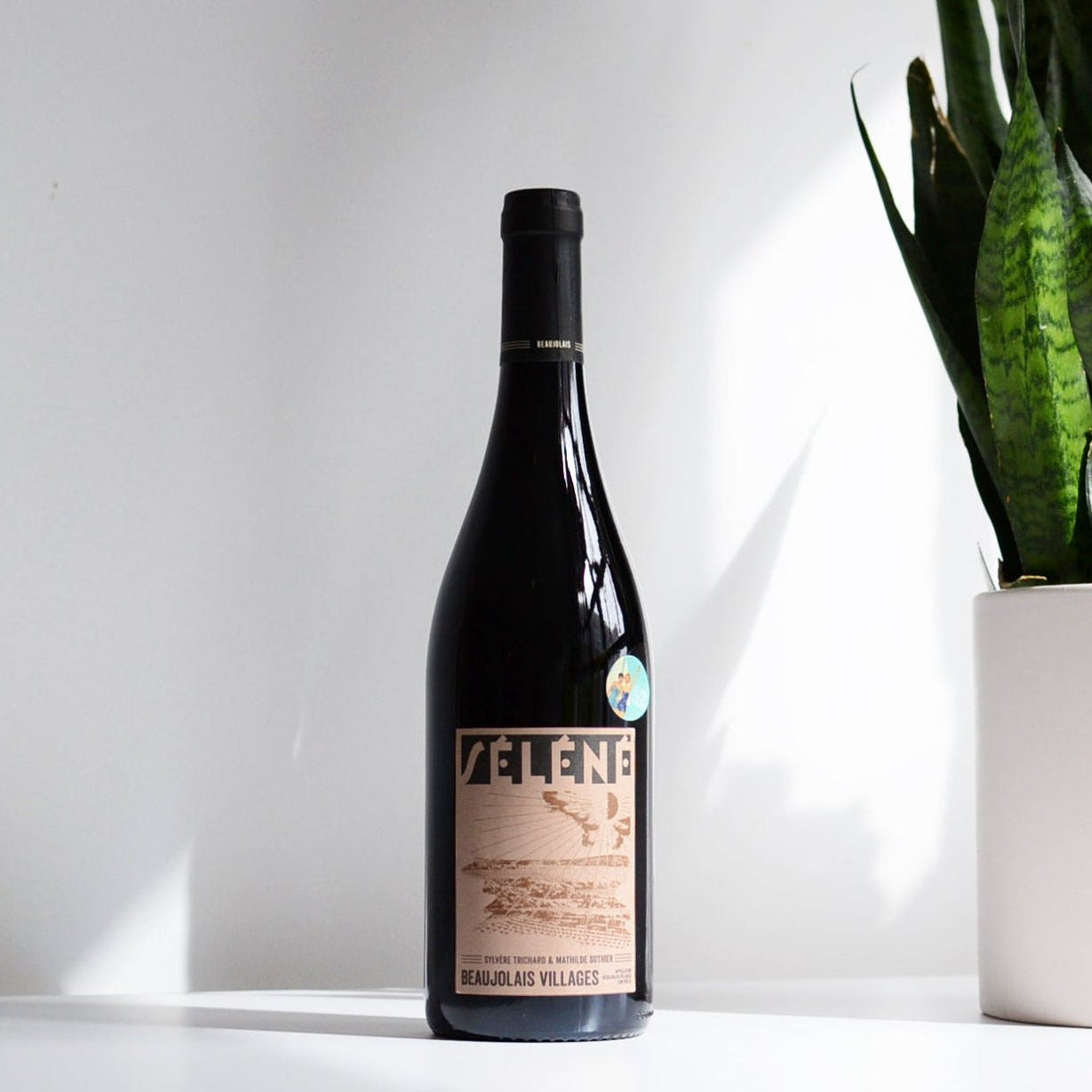 Découvrez la Magie du Beaujolais Rouge : Un Vin Emblématique à Savourer