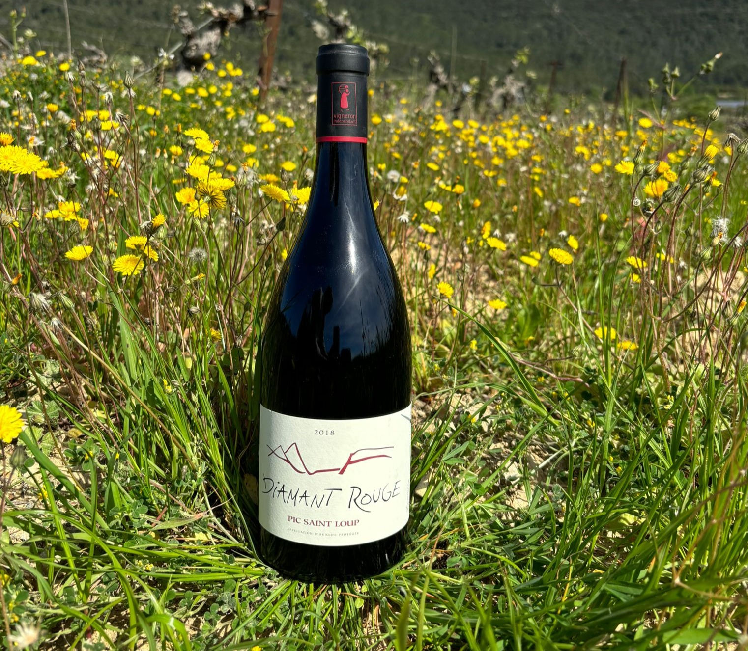 Découvrez l&rsquo;Excellence du Vin Rouge Pic Saint Loup 2018