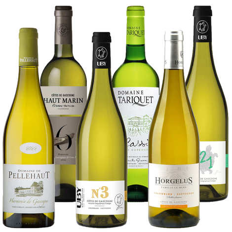 Élégance et Fraîcheur : Les Délices des Vins Blancs