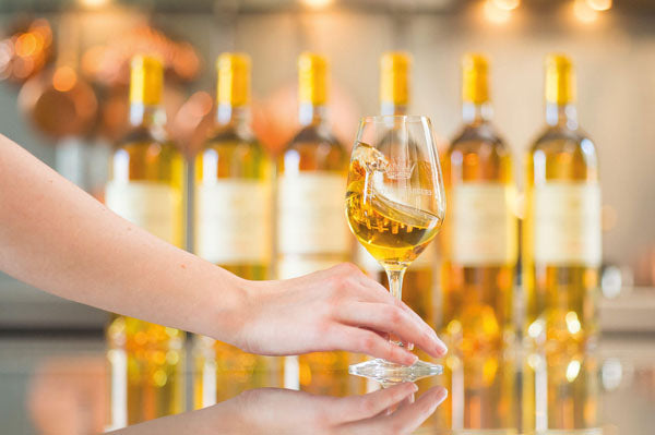Découverte des Délices Viticoles : Entre Vins et Vin
