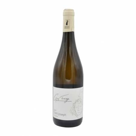 Découvrez l’Élégance du Vin Blanc de Saint Joseph