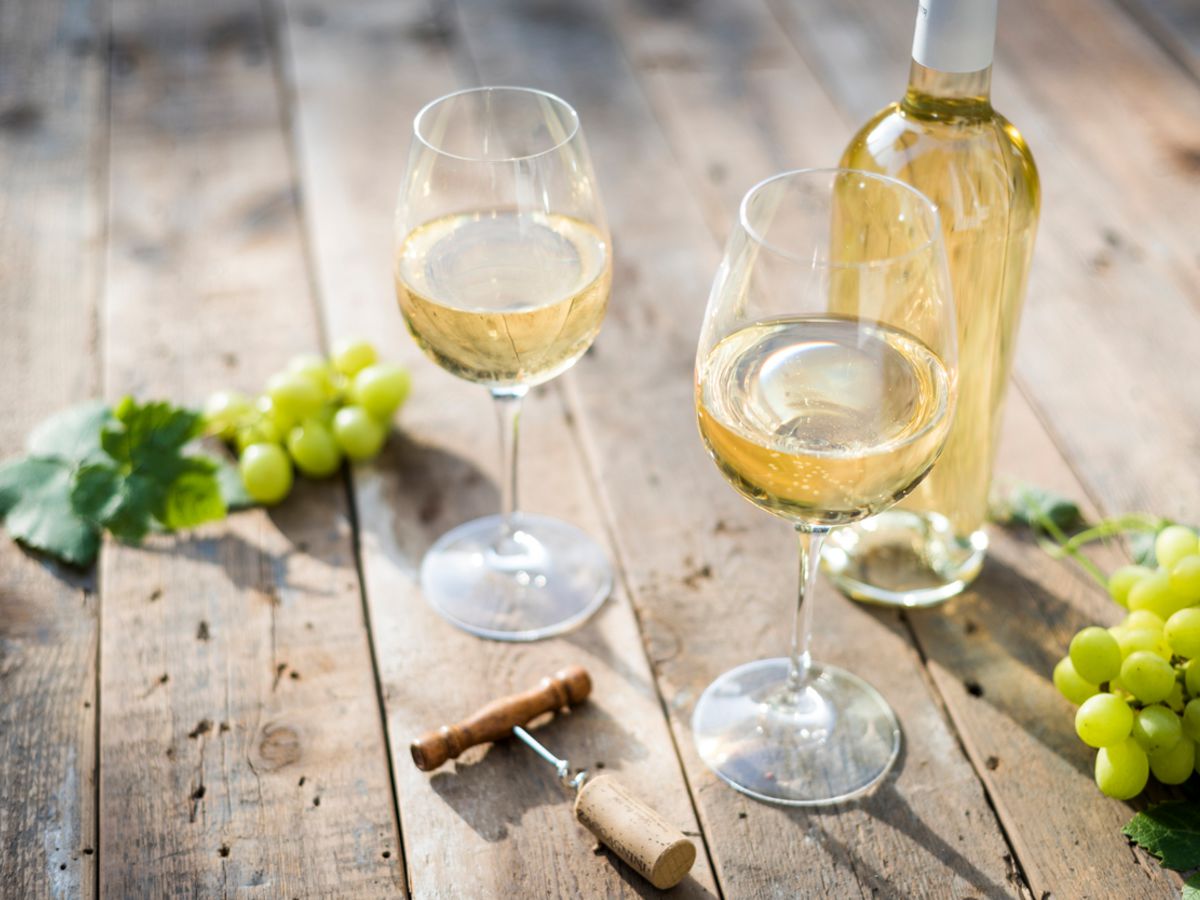 Dégustation Exquise : Vin Blanc Sec Fruité, l’Alliance Parfaite des Saveurs