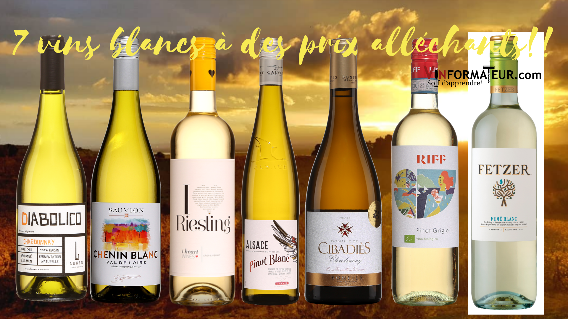 Meilleurs vins blancs : styles, régions et conseils pour bien choisir