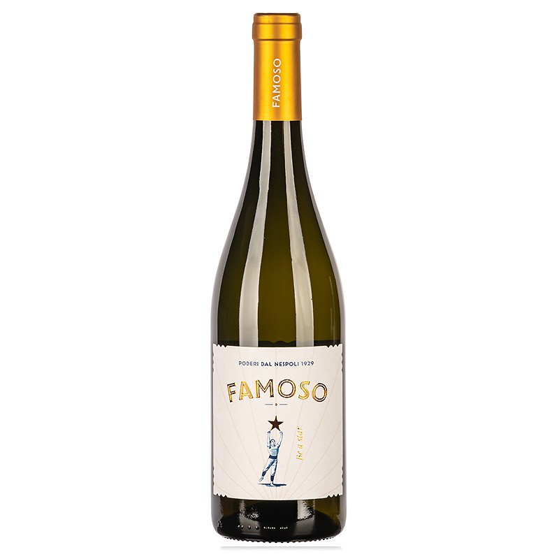Vin blanc sec italien : fraîcheur et diversité des terroirs de l’Italie