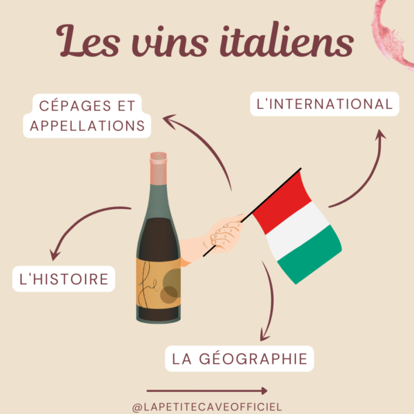 Vins italiens connus : les incontournables à découvrir